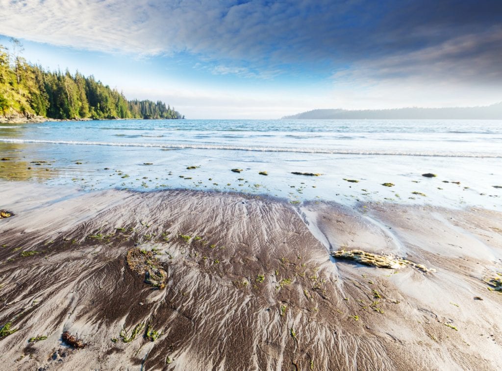 Vancouver coast